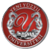 Yeni Yüzyıl Üniversitesi
